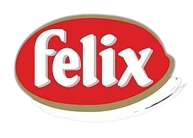 felix-removebg-preview